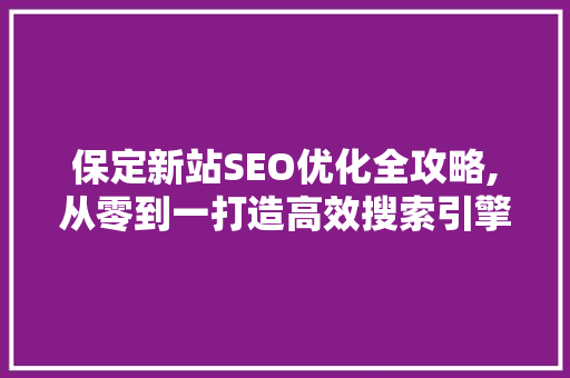 保定新站SEO优化全攻略,从零到一打造高效搜索引擎排名  第1张