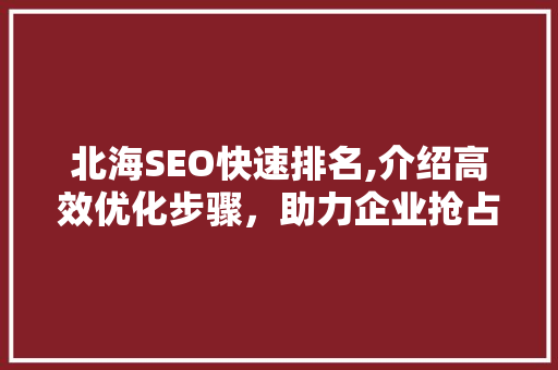 北海SEO快速排名,介绍高效优化步骤，助力企业抢占市场先机