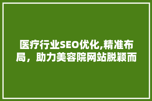 医疗行业SEO优化,精准布局，助力美容院网站脱颖而出