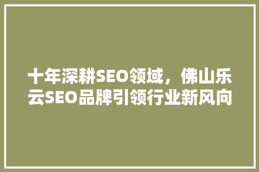 十年深耕SEO领域，佛山乐云SEO品牌引领行业新风向