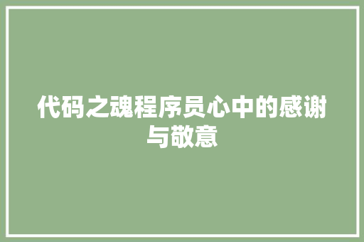代码之魂程序员心中的感谢与敬意