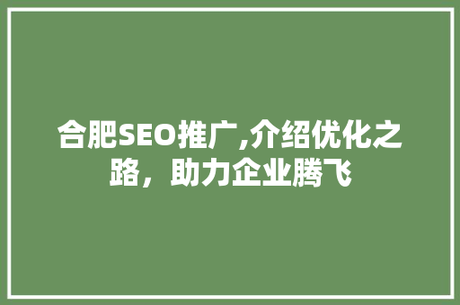 合肥SEO推广,介绍优化之路，助力企业腾飞