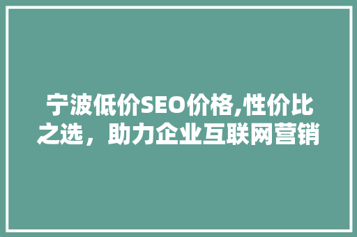 宁波低价SEO价格,性价比之选，助力企业互联网营销