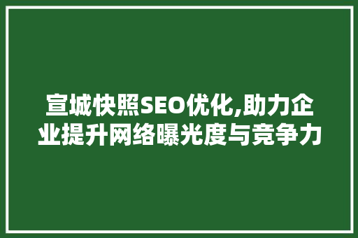宣城快照SEO优化,助力企业提升网络曝光度与竞争力