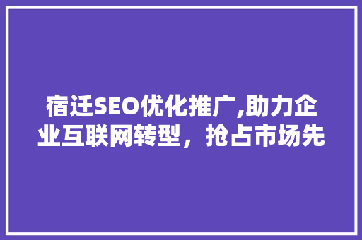 宿迁SEO优化推广,助力企业互联网转型，抢占市场先机
