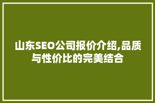 山东SEO公司报价介绍,品质与性价比的完美结合