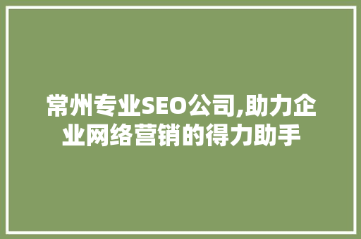常州专业SEO公司,助力企业网络营销的得力助手