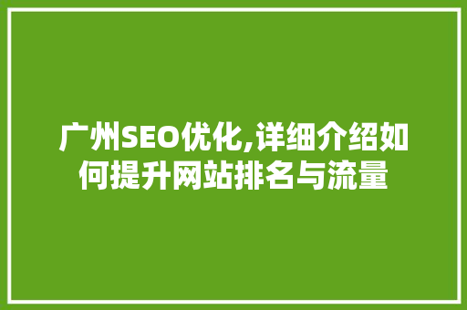 广州SEO优化,详细介绍如何提升网站排名与流量