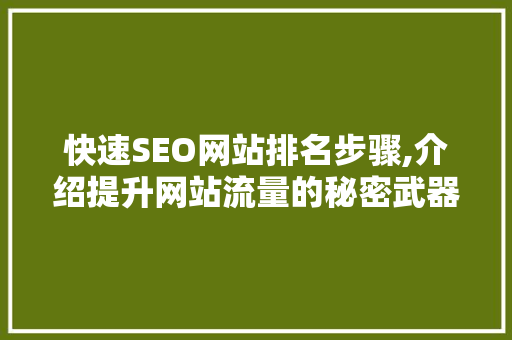 快速SEO网站排名步骤,介绍提升网站流量的秘密武器