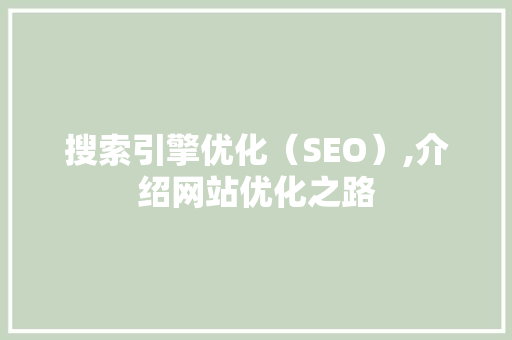 搜索引擎优化（SEO）,介绍网站优化之路