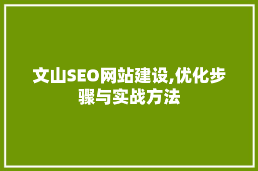 文山SEO网站建设,优化步骤与实战方法