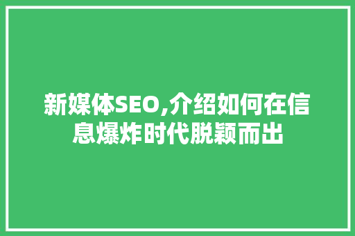 新媒体SEO,介绍如何在信息爆炸时代脱颖而出