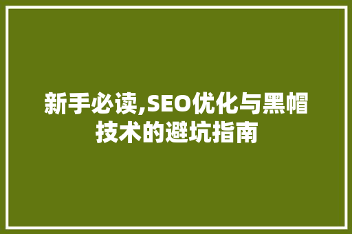 新手必读,SEO优化与黑帽技术的避坑指南