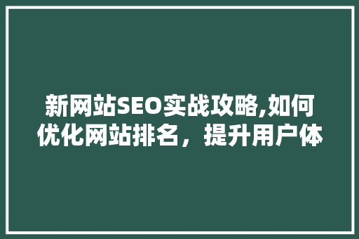 新网站SEO实战攻略,如何优化网站排名，提升用户体验