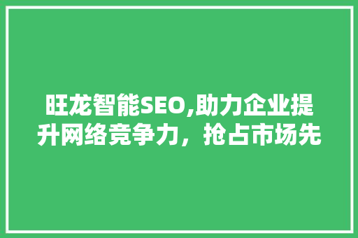 旺龙智能SEO,助力企业提升网络竞争力，抢占市场先机