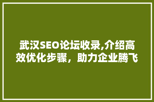 武汉SEO论坛收录,介绍高效优化步骤，助力企业腾飞