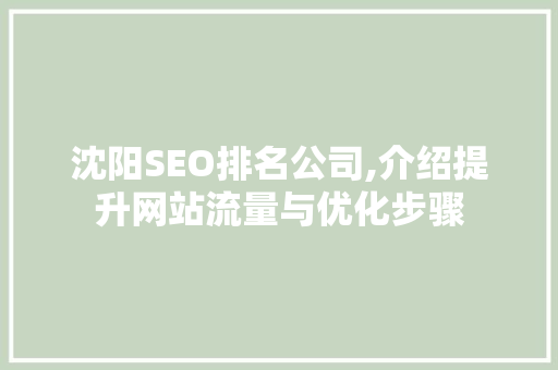 沈阳SEO排名公司,介绍提升网站流量与优化步骤