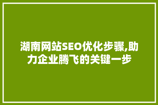 湖南网站SEO优化步骤,助力企业腾飞的关键一步