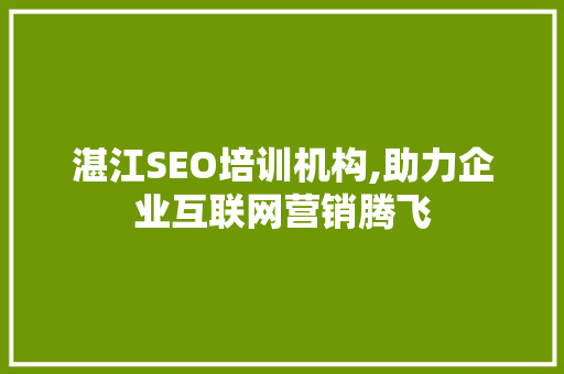 湛江SEO培训机构,助力企业互联网营销腾飞