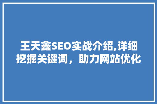王天鑫SEO实战介绍,详细挖掘关键词，助力网站优化