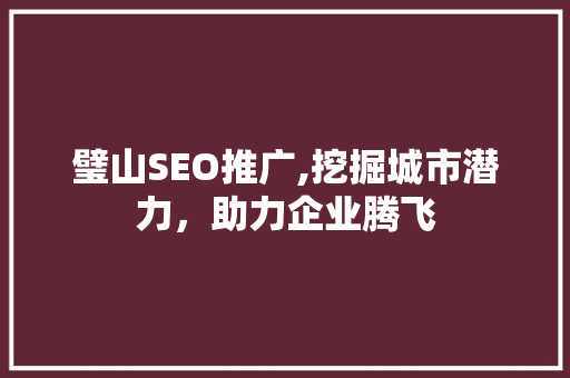 璧山SEO推广,挖掘城市潜力，助力企业腾飞