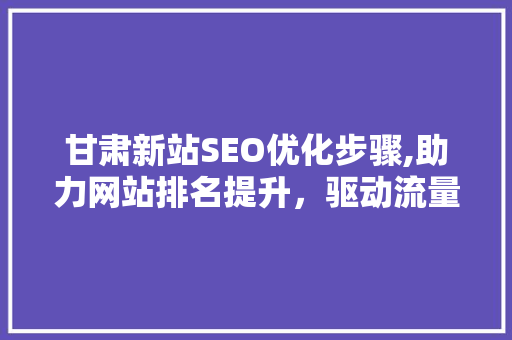 甘肃新站SEO优化步骤,助力网站排名提升，驱动流量增长