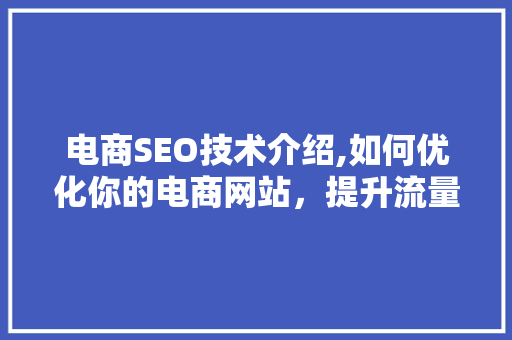 电商SEO技术介绍,如何优化你的电商网站，提升流量与转化率