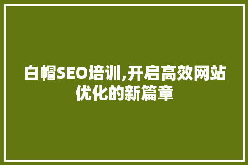 白帽SEO培训,开启高效网站优化的新篇章