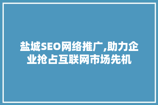 盐城SEO网络推广,助力企业抢占互联网市场先机
