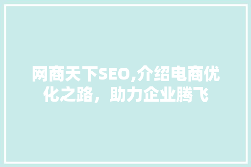 网商天下SEO,介绍电商优化之路，助力企业腾飞