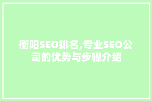 衡阳SEO排名,专业SEO公司的优势与步骤介绍