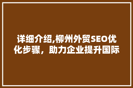 详细介绍,柳州外贸SEO优化步骤，助力企业提升国际竞争力