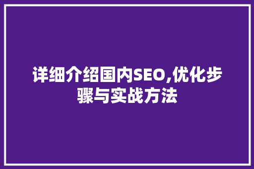 详细介绍国内SEO,优化步骤与实战方法