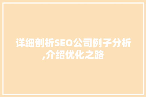 详细剖析SEO公司例子分析,介绍优化之路