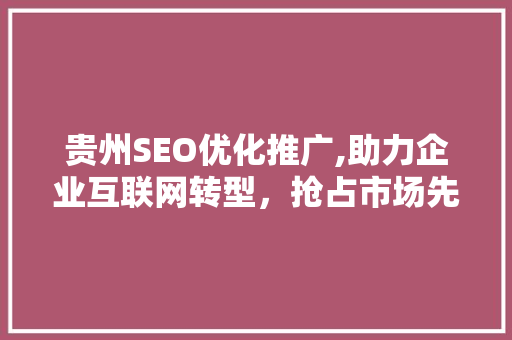 贵州SEO优化推广,助力企业互联网转型，抢占市场先机