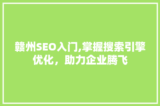 赣州SEO入门,掌握搜索引擎优化，助力企业腾飞