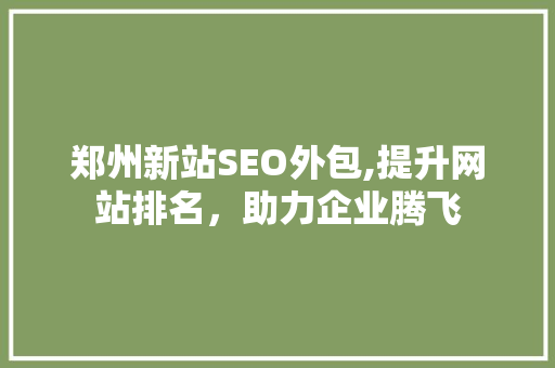 郑州新站SEO外包,提升网站排名，助力企业腾飞