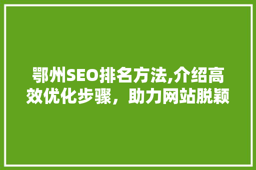 鄂州SEO排名方法,介绍高效优化步骤，助力网站脱颖而出