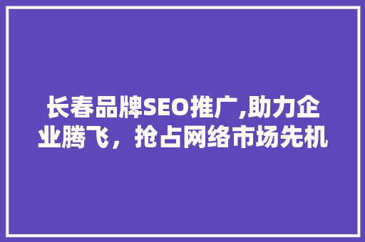 长春品牌SEO推广,助力企业腾飞，抢占网络市场先机
