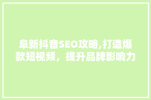 阜新抖音SEO攻略,打造爆款短视频，提升品牌影响力