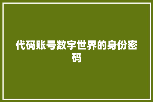 代码账号数字世界的身份密码