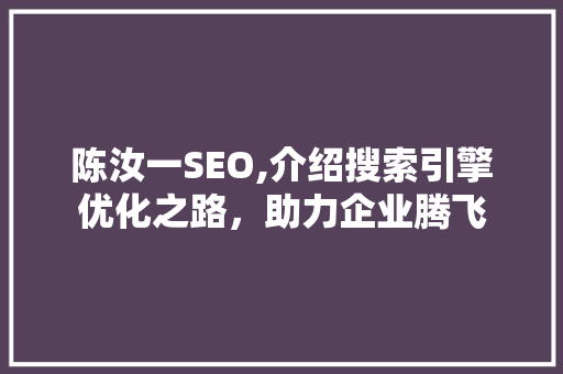 陈汝一SEO,介绍搜索引擎优化之路，助力企业腾飞