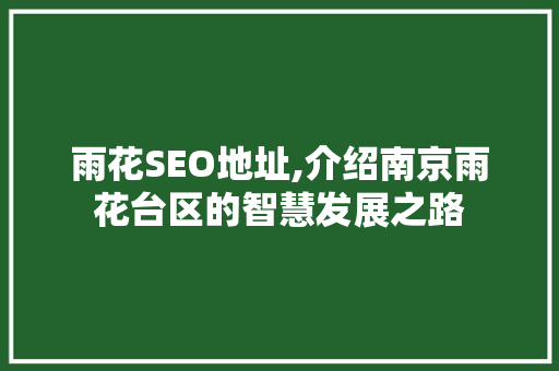 雨花SEO地址,介绍南京雨花台区的智慧发展之路