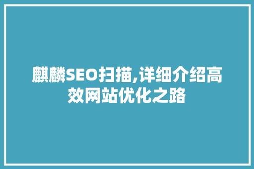 麒麟SEO扫描,详细介绍高效网站优化之路