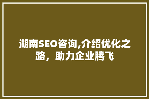 湖南SEO咨询,介绍优化之路，助力企业腾飞