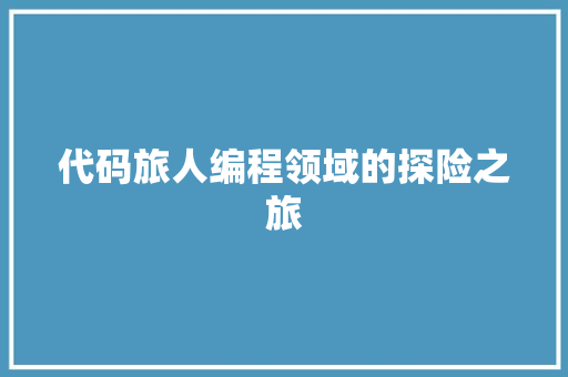 代码旅人编程领域的探险之旅
