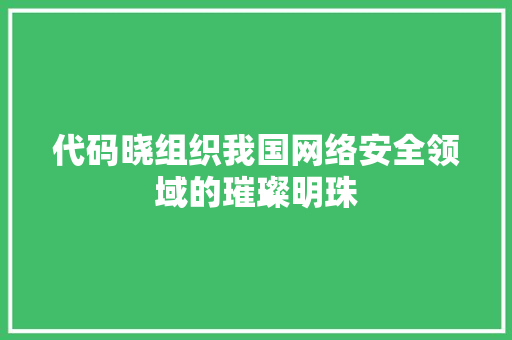 代码晓组织我国网络安全领域的璀璨明珠