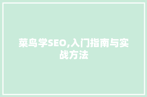 菜鸟学SEO,入门指南与实战方法