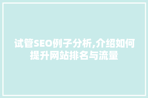 试管SEO例子分析,介绍如何提升网站排名与流量