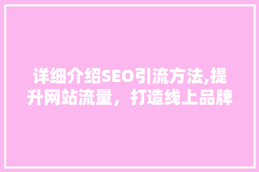 详细介绍SEO引流方法,提升网站流量，打造线上品牌影响力